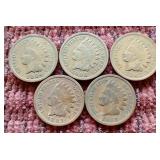 (5) Indian Pennies - (2) 1800s