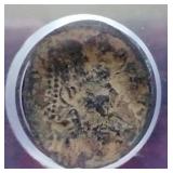 Ancient Roman Coin - ICG Authenticated