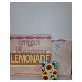 Decorative Wall Art Signs: Raspberry Lemonade & Princess Theme