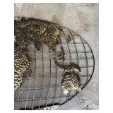 American Mid-Century Gold World Map Plaque