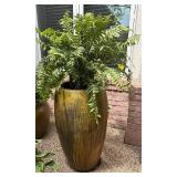 Large and Lovely Planter