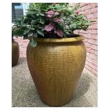 Pleasant Planter Pot