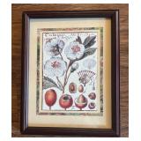 Two Fine Floral Framed Prints