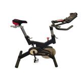 Sole SB700 Indoor Cycle Exercise Bike