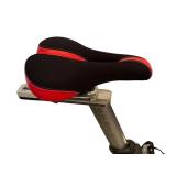 Sole SB700 Indoor Cycle Exercise Bike