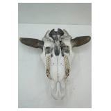 Bull Skull Bull Skull
