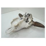 Bull Skull Bull Skull