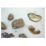 Bag of Stone Pendants & Beads Bag of Stone Pendants & Beads