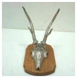 Metal Horns Wall Hanging Metal Horns Wall Hanging