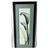 Teal and Black Decor Accent Package