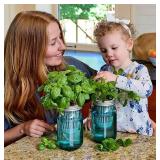 NEW Modern Sprout NEW Modern Sprout