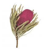 Pallet of Store Overstock Vickerman Product and Returns - UNPROCESSED Pallet of Store Overstock Vickerman Product and Returns - UNPROCESSED