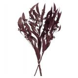 Pallet of Store Overstock Vickerman Product and Returns - UNPROCESSED Pallet of Store Overstock Vickerman Product and Returns - UNPROCESSED