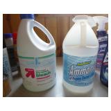 Household Liquids Household Liquids