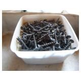 Assorted Screws Assorted Screws