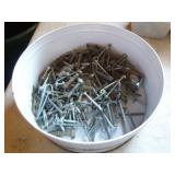 Assorted Screws Assorted Screws