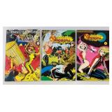 Misc. Comics & Graphic Novels  Including  Tale From Wonderland #1 And More (Some Bagged And Carded)