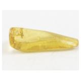 Termite Preserved in Amber Specimen 8.9 Grams