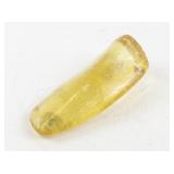 Termite Preserved in Amber Specimen 8.9 Grams