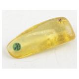 Termite Preserved in Amber Specimen 8.9 Grams