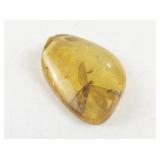 Amber Stone with Insect Inclusion, 6.5 Grams