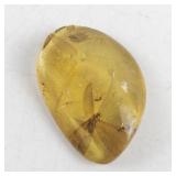 Amber Stone with Insect Inclusion, 6.5 Grams