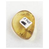 Amber Stone with Insect Inclusion, 6.5 Grams