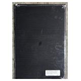 Set of 3 Antique Botanical Engraved Prints