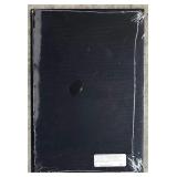 Set of 3 Antique Botanical Engraved Prints