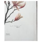 Cardinal Bird Botanical Art Print by Don Balke