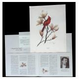 Cardinal Bird Botanical Art Print by Don Balke