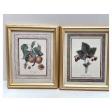 Set of 4 Framed Botanical Fruit Prints and 6 Decorative Fruit Motif Plates Set of 4 Framed Botanical Fruit Prints and 6 Decorative Fruit Motif Plates