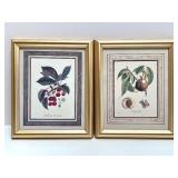 Set of 4 Framed Botanical Fruit Prints and 6 Decorative Fruit Motif Plates Set of 4 Framed Botanical Fruit Prints and 6 Decorative Fruit Motif Plates