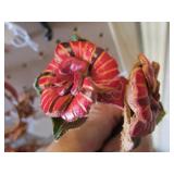 Leather Bracelets, Key Chain Fobs