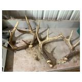 Deer Processing Kit with Antlers and Deer Netting