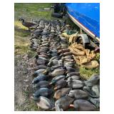 Large Collection of Duck and Goose Hunting Decoys