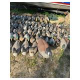 Large Collection of Duck and Goose Hunting Decoys