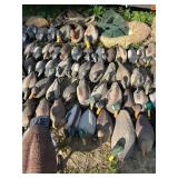 Large Collection of Duck and Goose Hunting Decoys