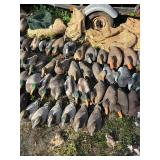 Large Collection of Duck and Goose Hunting Decoys