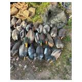Large Collection of Duck and Goose Hunting Decoys