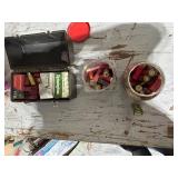 Mixed Lot of Shotgun Shells and .22 Long Rifle Cartridges with Plastic Storage Box