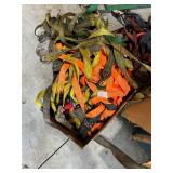 Assorted Ratchet Straps and Cargo Tie-Downs