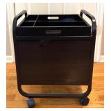 Portable File Cabinet Organizer