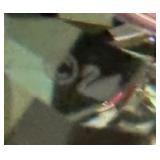 Swarovski Crystal Rocking Penguin Figurine