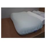 Cushion Lab Pillow Set