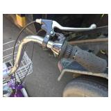 Pexmor 3 Wheel Adult Bicycle