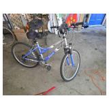 Schwinn Cimarron Aluminum Bicycle