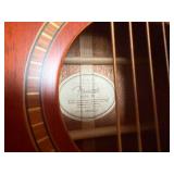 FENDER DG24 MA Acoustic Guitar FENDER DG24 MA Acoustic Guitar