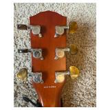 FENDER DG24 MA Acoustic Guitar FENDER DG24 MA Acoustic Guitar
