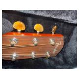 FENDER DG24 MA Acoustic Guitar FENDER DG24 MA Acoustic Guitar